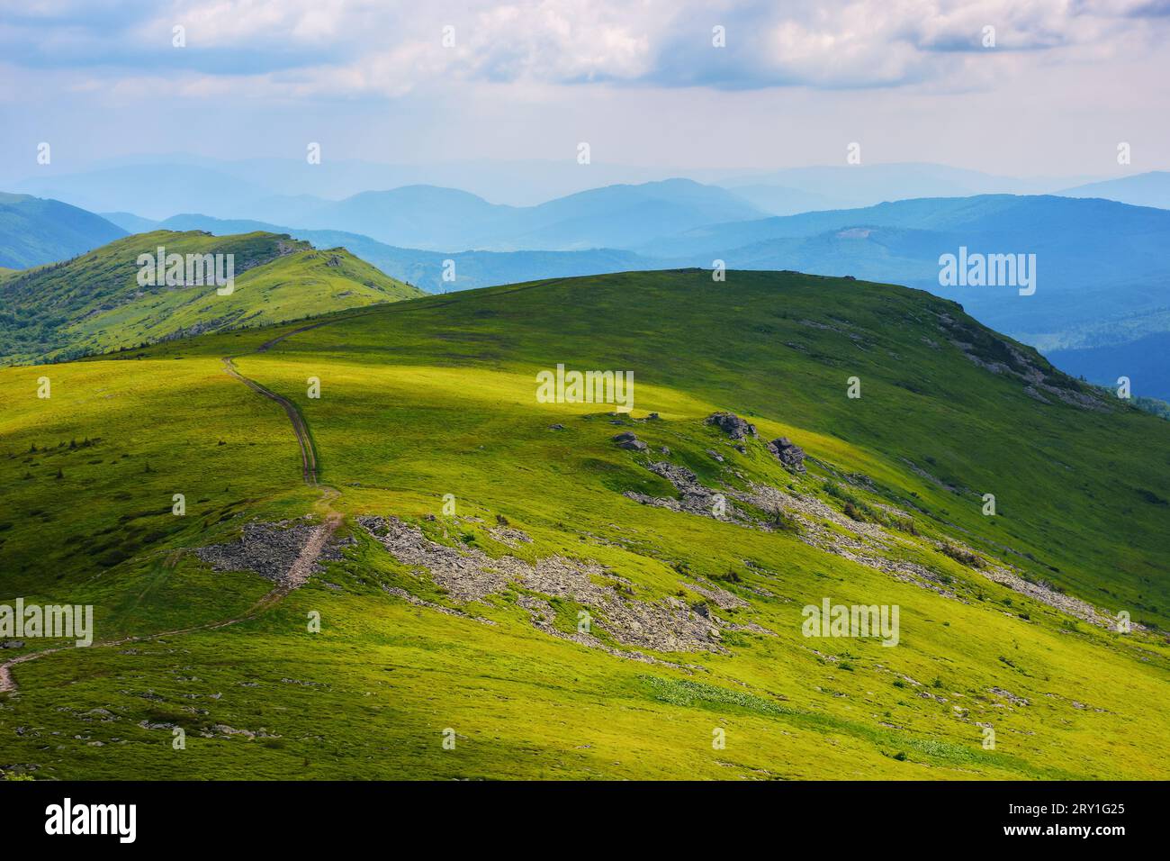 paesaggio dei carpazi in estate. colline ondulate di cresta spartiacque in una luce soffusa. viaggi in ucraina Foto Stock