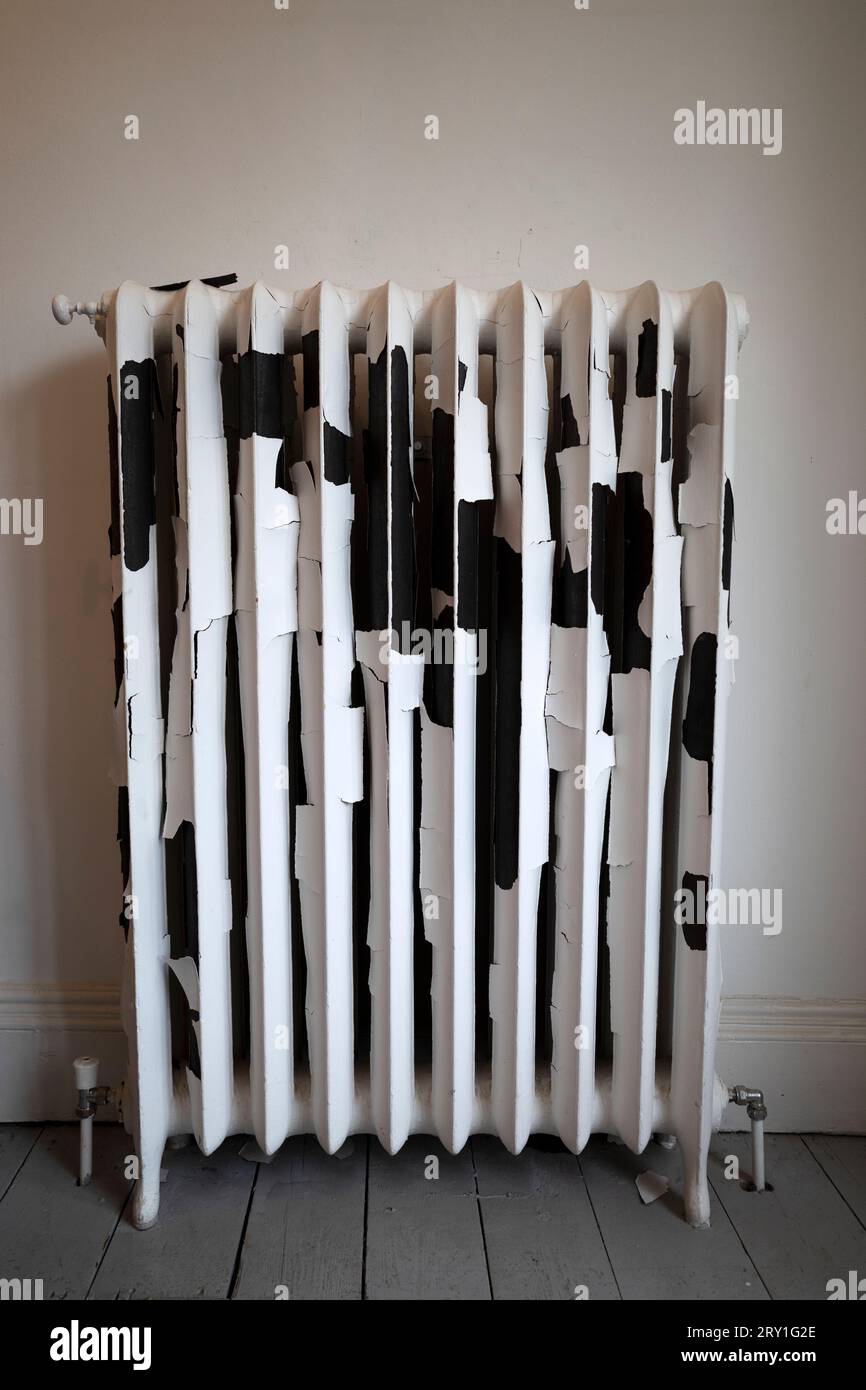 Radiatore con vernice per peeling Foto Stock