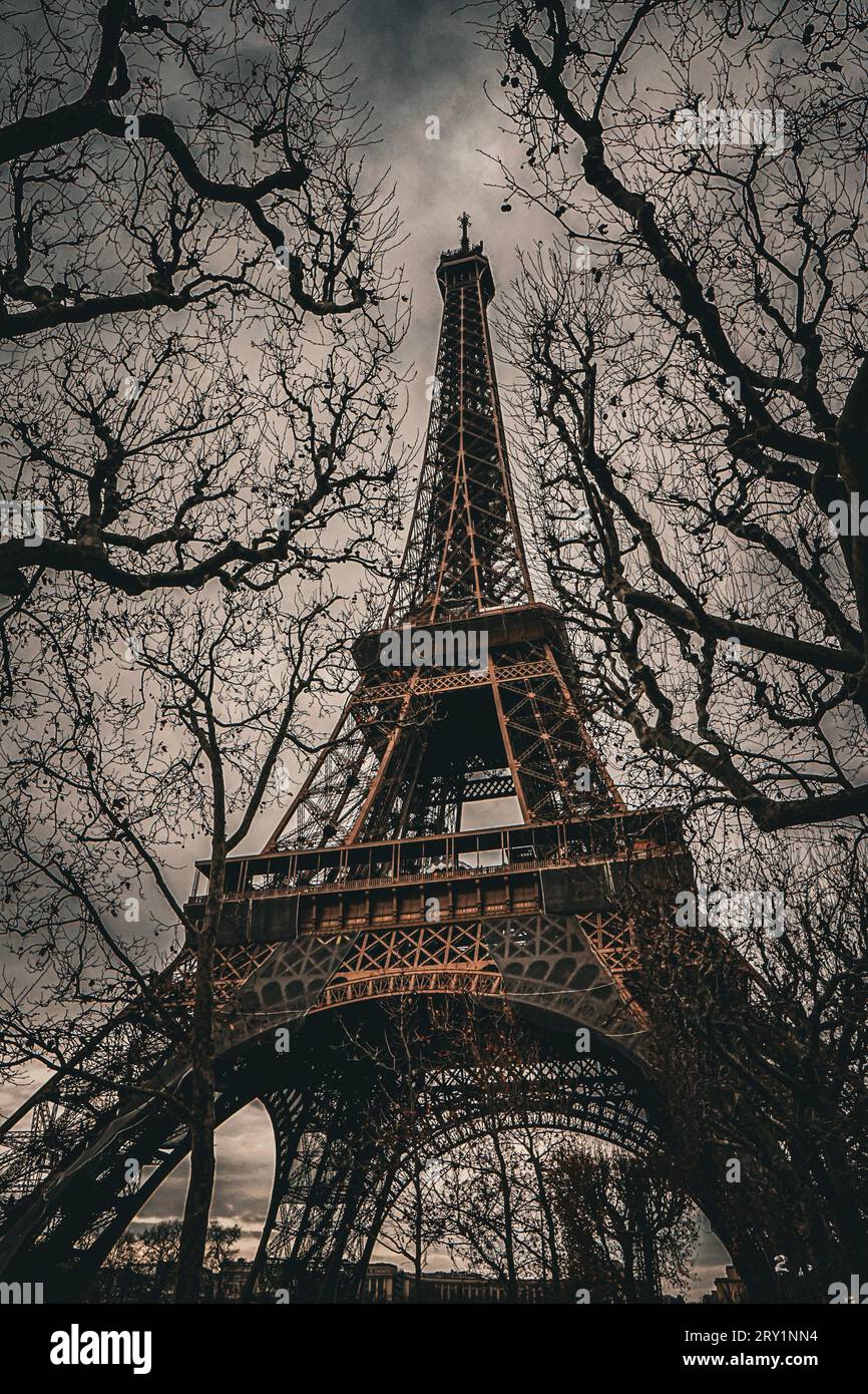 Gli alberi scheletrici invernali incorniciano una Eiffel coperta da nuvole. Foto Stock