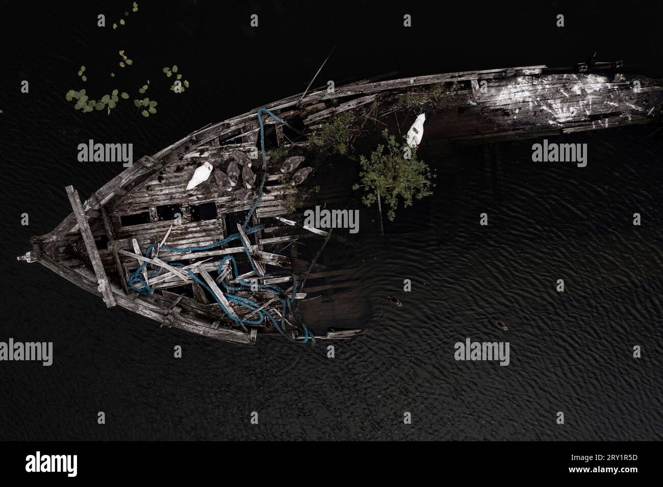 Europa, Scandinavia, Svezia... Norrköping. Relitti Foto Stock