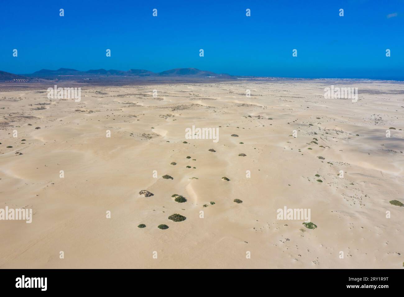 Europa, Spagna, Isole Canarie, Fuerteventura. Corralejo. Il Parco naturale delle dune di Corralejo Foto Stock