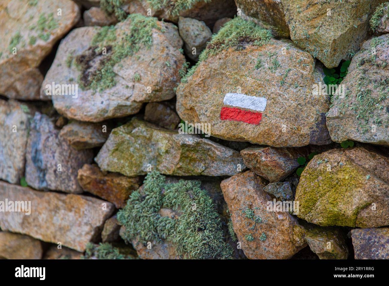 Francia, Manche, Cotentin Foto Stock