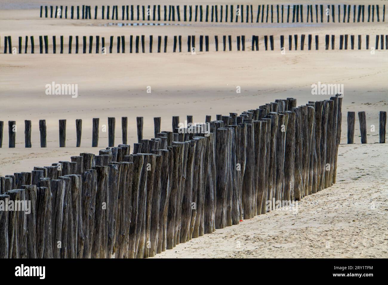Francia, Hauts de France, Pas de Calais. Sangatte. Frangiflutti sulla spiaggia Foto Stock