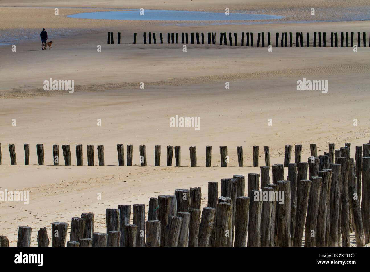 Francia, Hauts de France, Pas de Calais. Sangatte. Frangiflutti sulla spiaggia Foto Stock