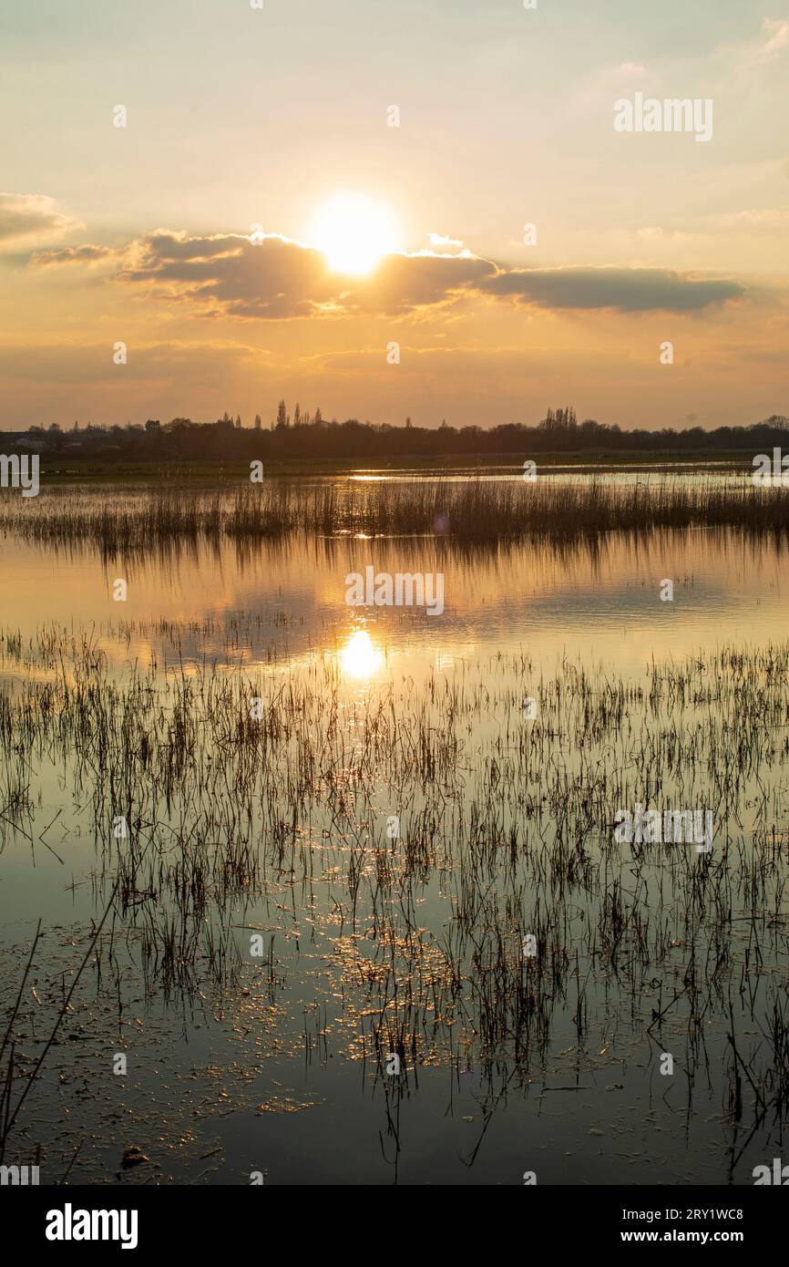 Francia, estuario della Loira, 44, isola di Marechale, inondazioni, 03/2022. Foto Stock