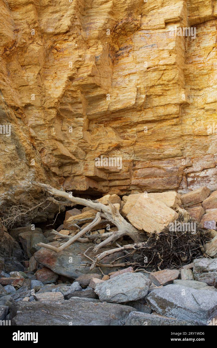 Francia, la Bernerie-en-Retz, 44, raso ai piedi di una scogliera attaccata dal mare e dalla pioggia, 03/2022. Foto Stock