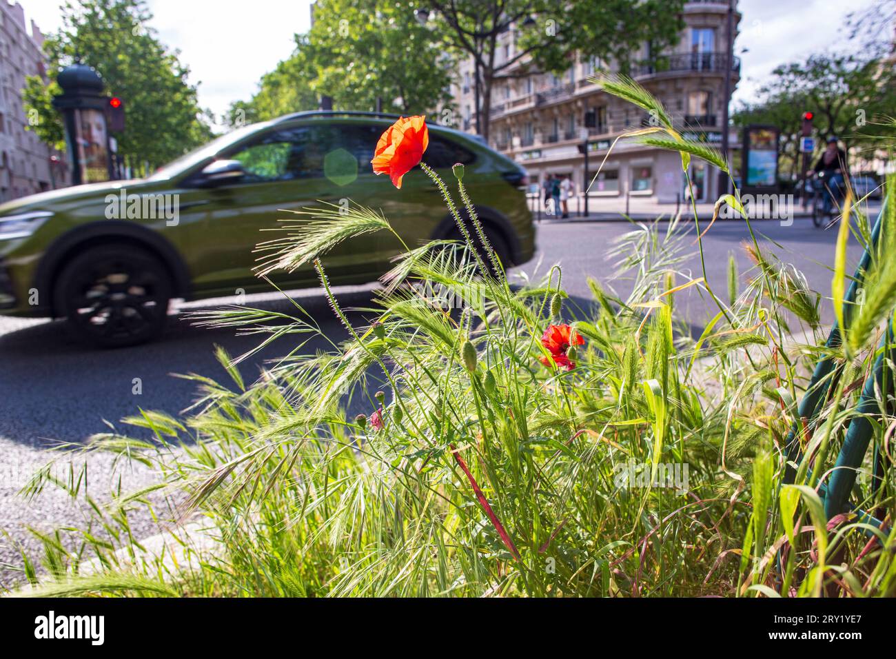 France, Paris, 75, 12th District, Avenue de Saint Mande, Square Courteline, maggio 2023. Foto Stock