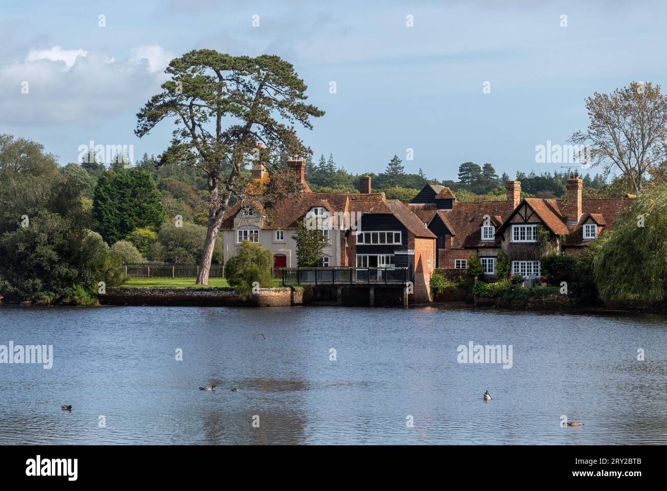 Vista del villaggio di Beaulieu attraverso il fiume Beaulieu, New Forest, Hampshire, Inghilterra, Regno Unito Foto Stock Vista del villaggio di Beaulieu attraverso il fiume Beaulieu, New Forest, Hampshire, Inghilterra, Regno Unito Foto Stock