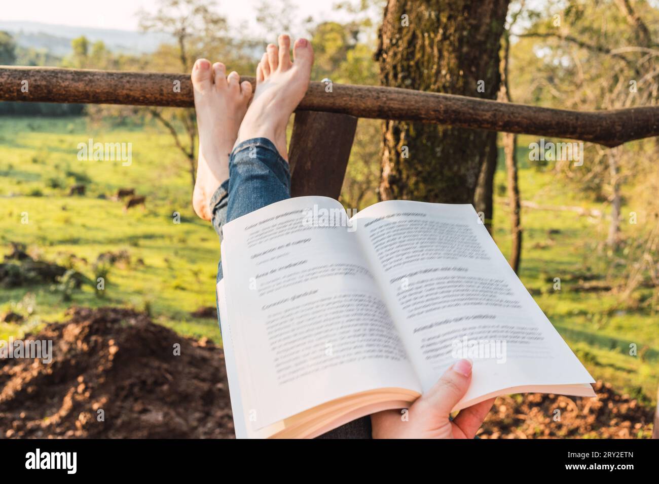 Anonima donna che legge libro e si rilassa sulla veranda in natura Foto Stock