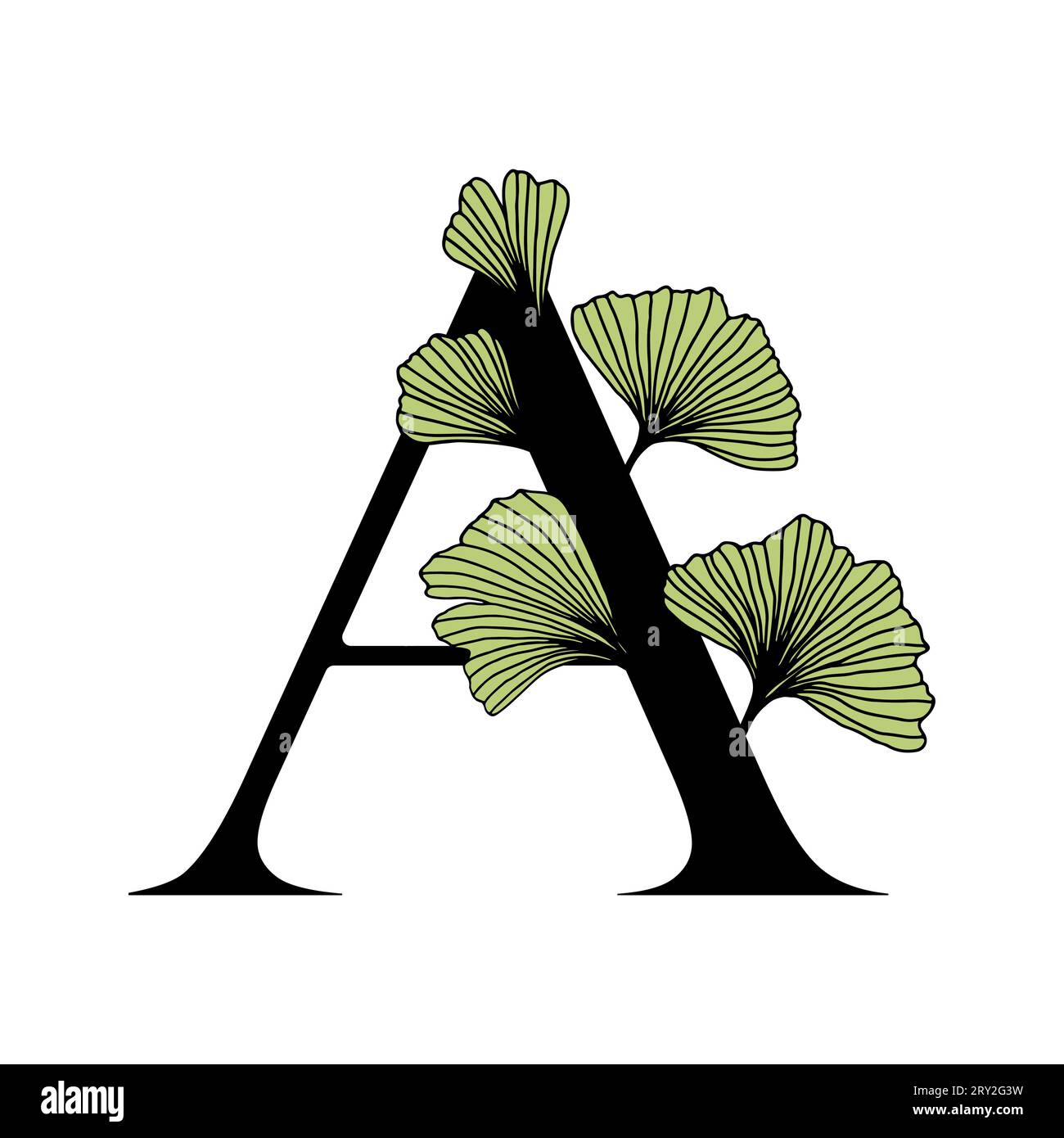 Ginkgo biloba lascia l'alfabeto A . Distintivo e icona in stile elegante e lineare disegnato a mano. Lettera dell'emblema del logo vettoriale e ramo ginkgo. Illustrazione del cosmo Illustrazione Vettoriale