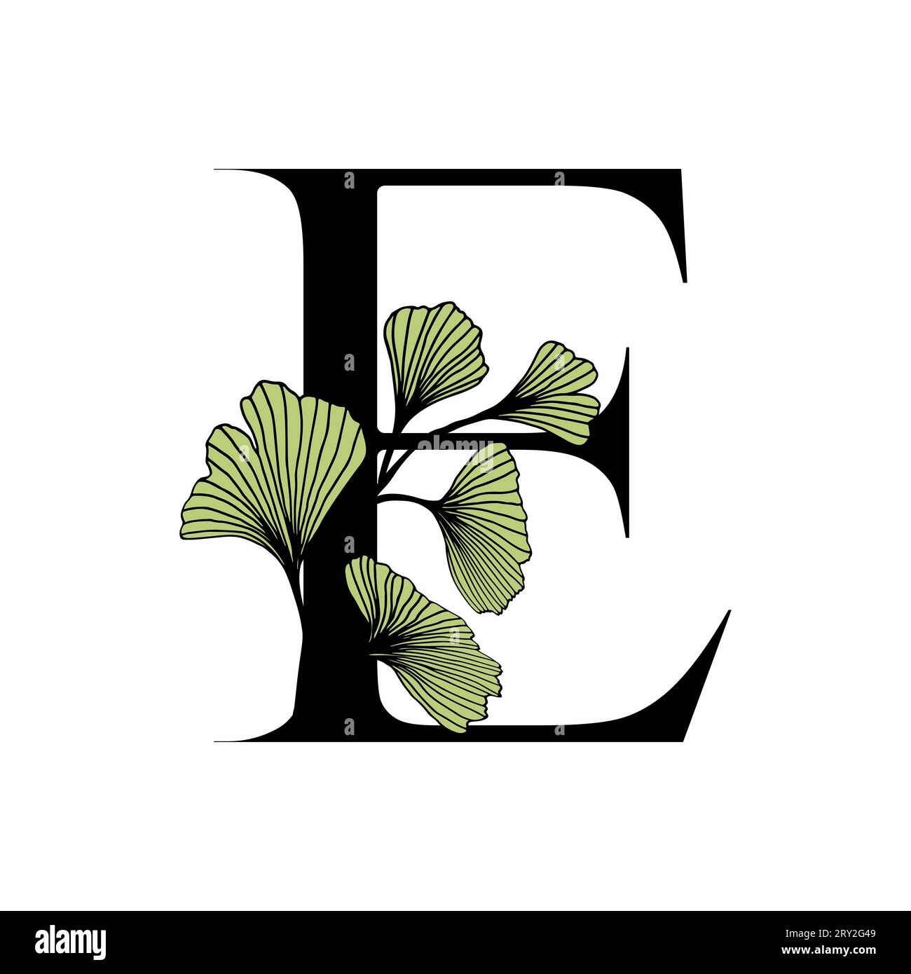 Ginkgo biloba lascia l'alfabeto e . Distintivo e icona in stile elegante e lineare disegnato a mano. Lettera dell'emblema del logo vettoriale e ramo ginkgo. Illustrazione del cosmo Illustrazione Vettoriale