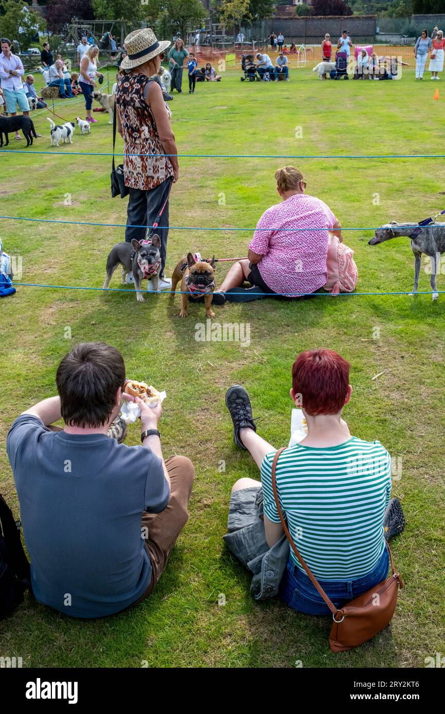 La gente del posto e i loro animali domestici partecipano A Una tradizionale mostra canina, Hartfield Village Fete, Hartfield, East Sussex, Regno Unito. Foto Stock