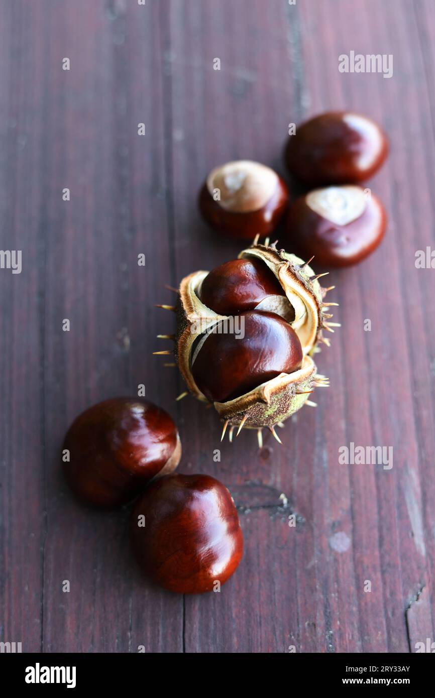 castagne fresche e brillanti su uno sfondo di legno Foto Stock