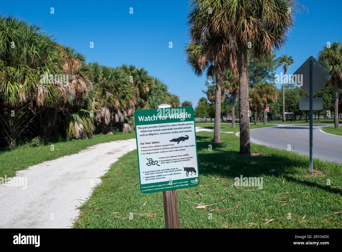 Clearwater Beach include un'area resort e un'area residenziale su un'isola barriera nel Golfo del Messico nella contea di Pinellas sulla costa centro-occidentale Foto Stock