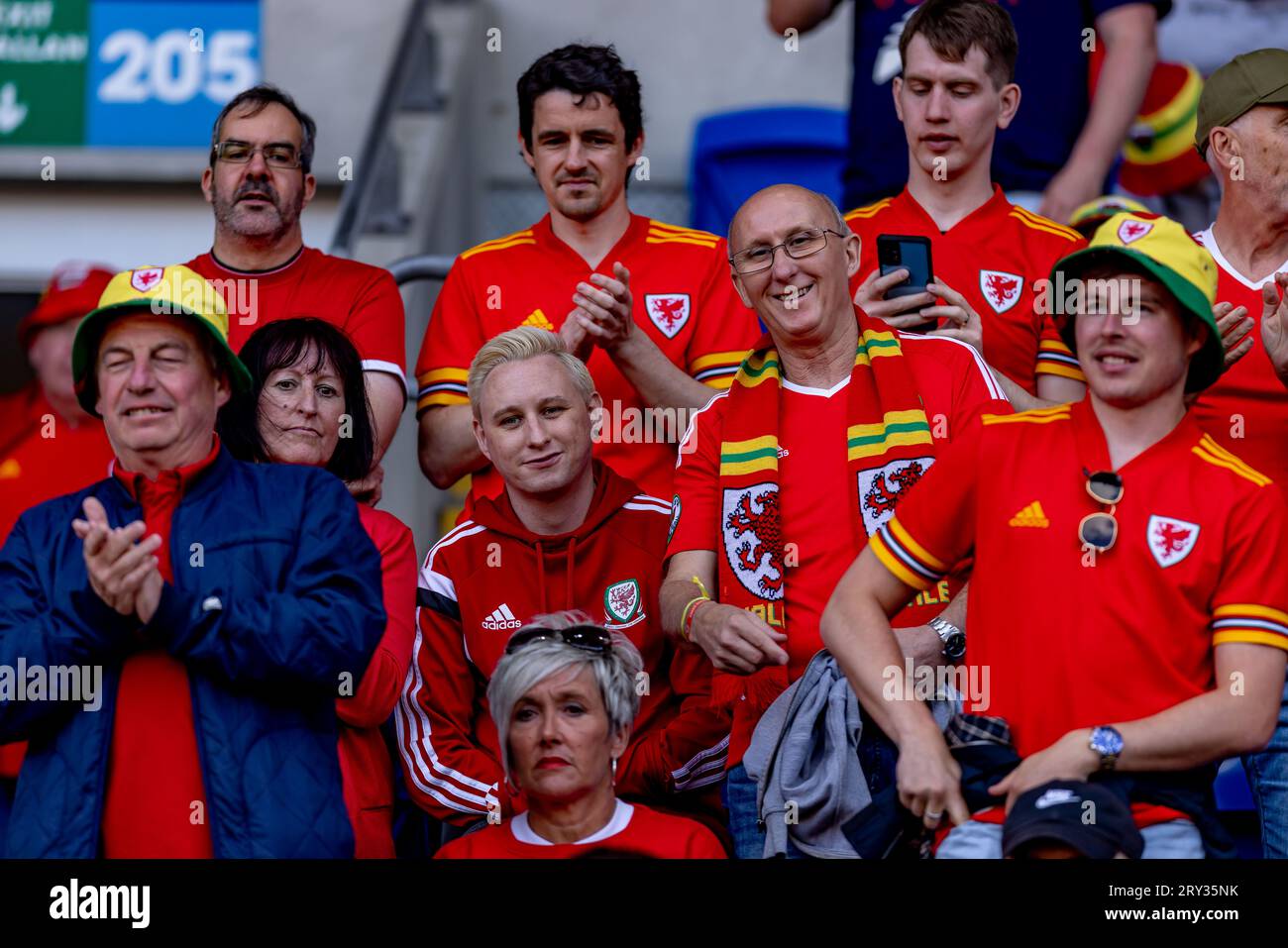 Cardiff, Galles - 11 giugno 2022: Tifosi gallesi prima della partita della UEFA Nations League tra Galles e Belgio al Cardiff City Stadium. Punteggio 1-1 (. Foto Stock