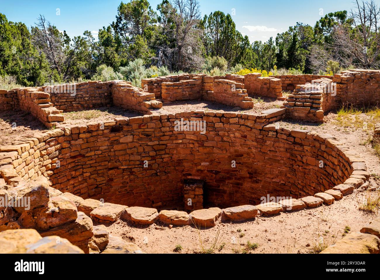Kiva; sala cerimoniale rotonda; Pipe Shrine House; far View Site; Mesa Verde National Park; Colorado; USA Foto Stock