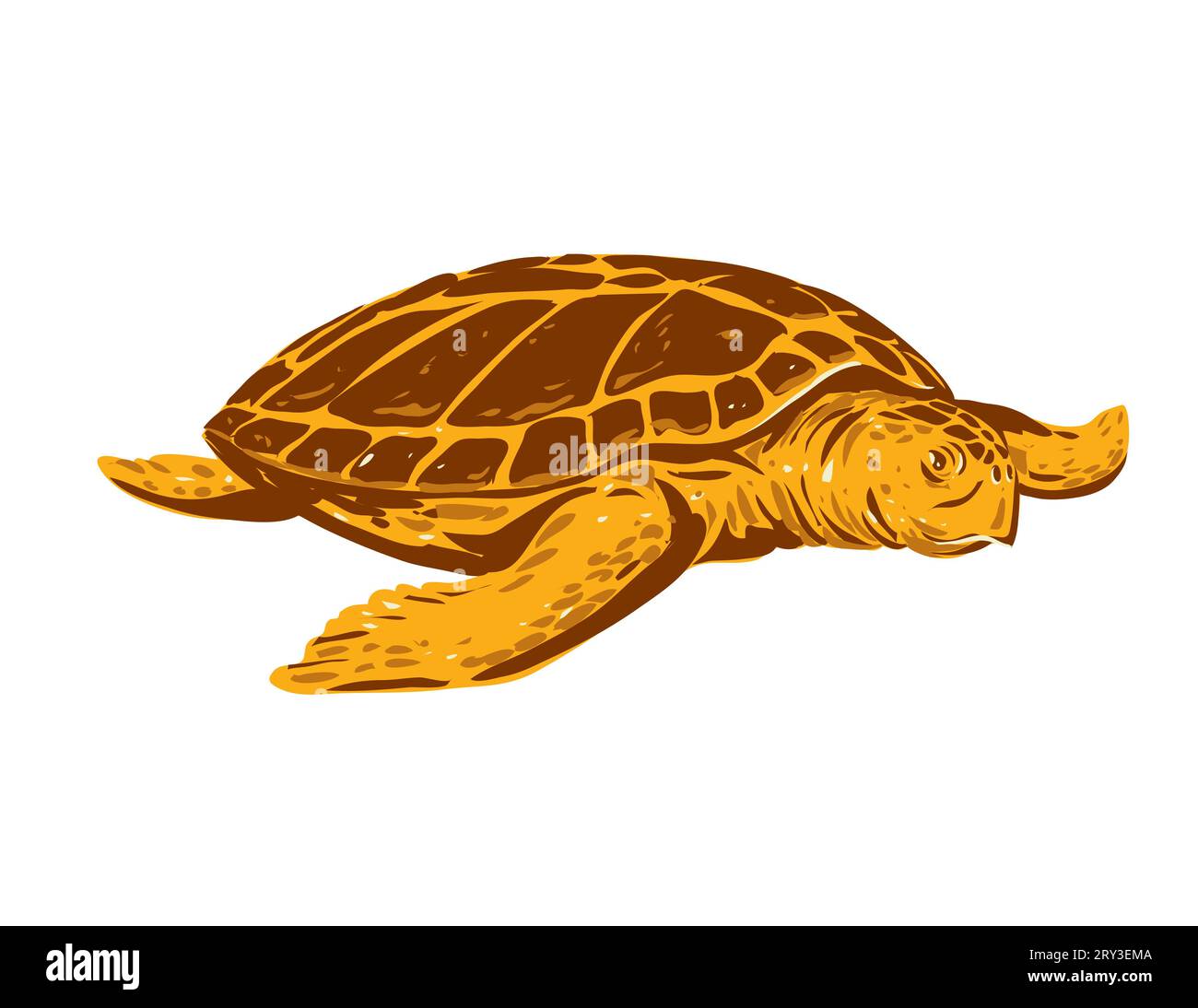 WPA poster art di una tartaruga marina o Caretta caretta, una specie di tartaruga oceanica vista dal davanti fatta nell'amministrazione dei lavori o fe Foto Stock
