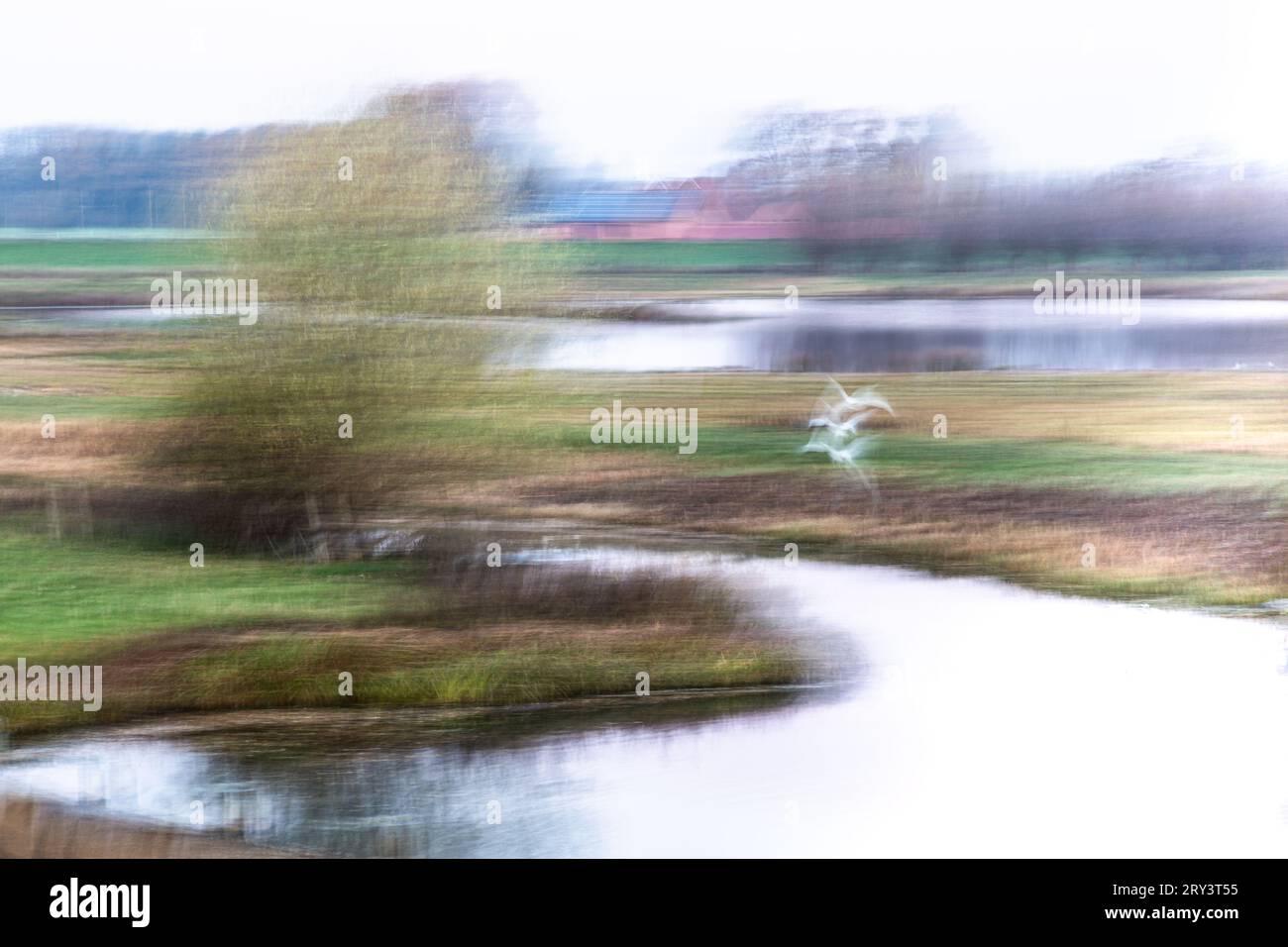 Tre uccelli volano su un paesaggio con fiume, stagno e alberi in stile pittoresco. Foto Stock