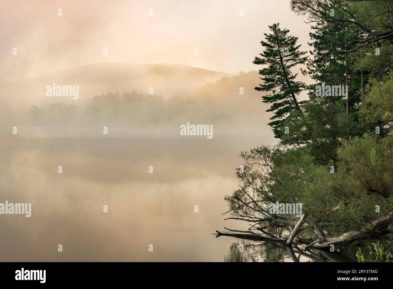 Foggy Morning sul lago Red House, Allegany State Park, Cattaraugus County, New York Foto Stock