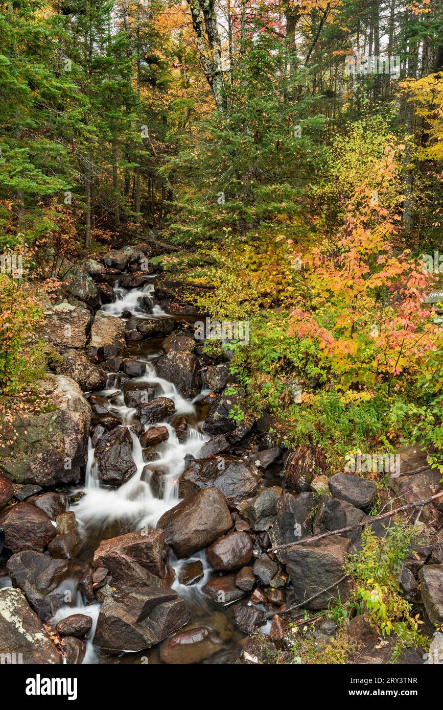 Una cascata Adirondack vicino a Lake Placid, contea di Essex, New York Foto Stock