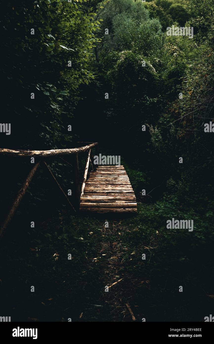 Sentiero spaventoso con ponte di legno che attraversa una foresta buia. Foto Stock