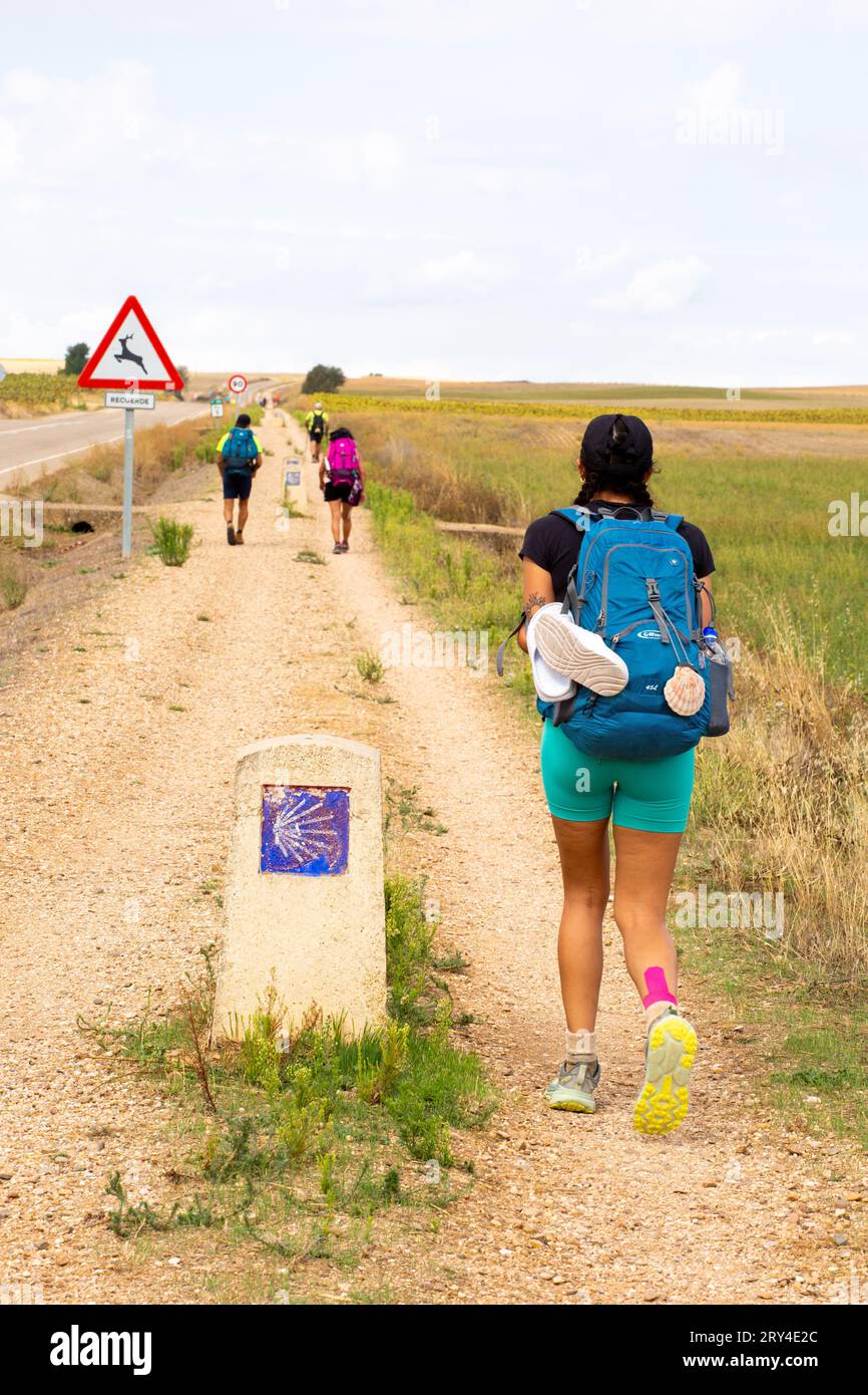 Pellegrini che camminano lungo il cammino di Santiago, il cammino di San Giacomo, attraverso la campagna spagnola tra Villalcazar e Carrion Spagna Foto Stock