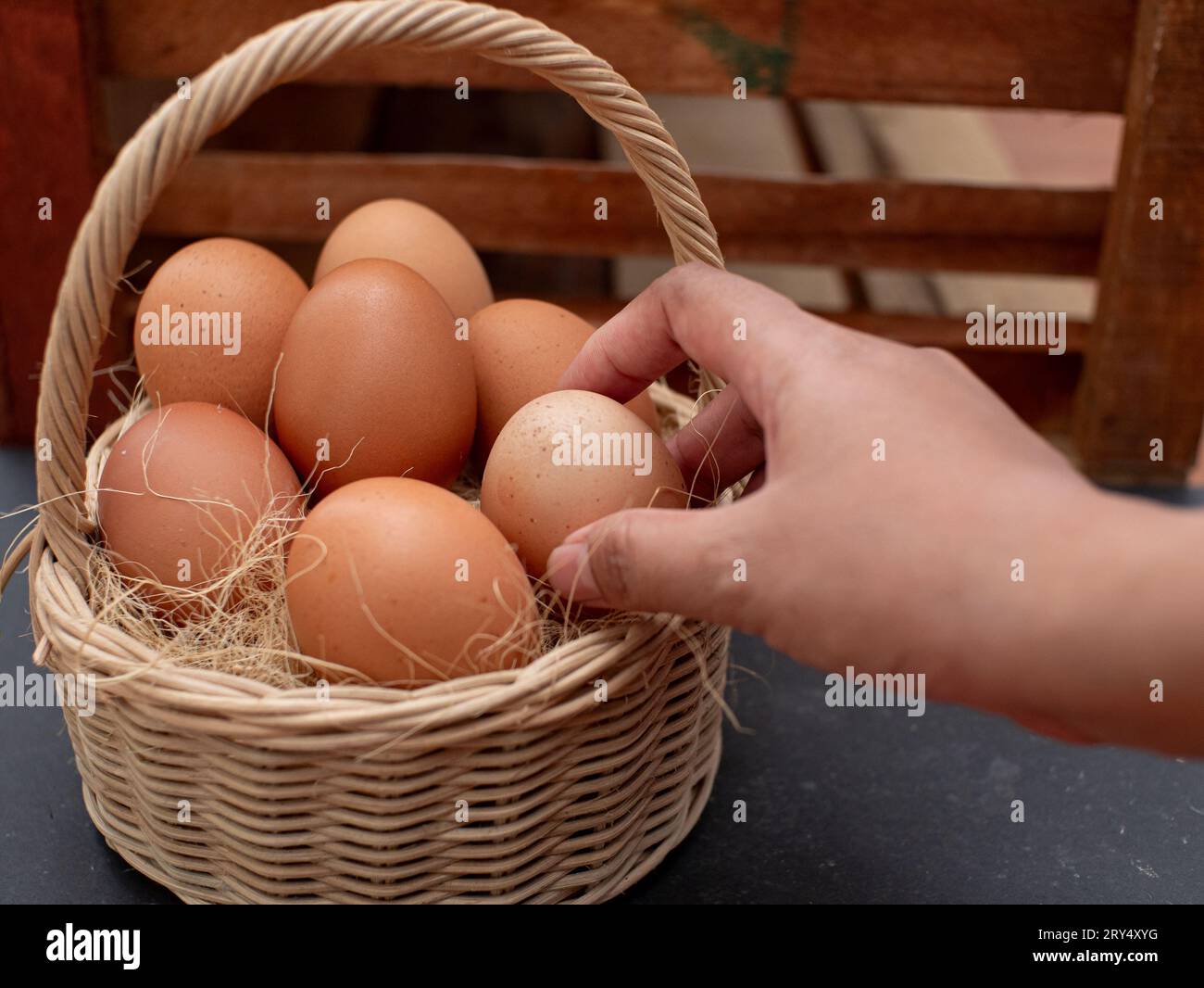 uova di pollo fresche sul nido. le mani prendono le uova di gallina dal nido. pollaio nel villaggio Foto Stock