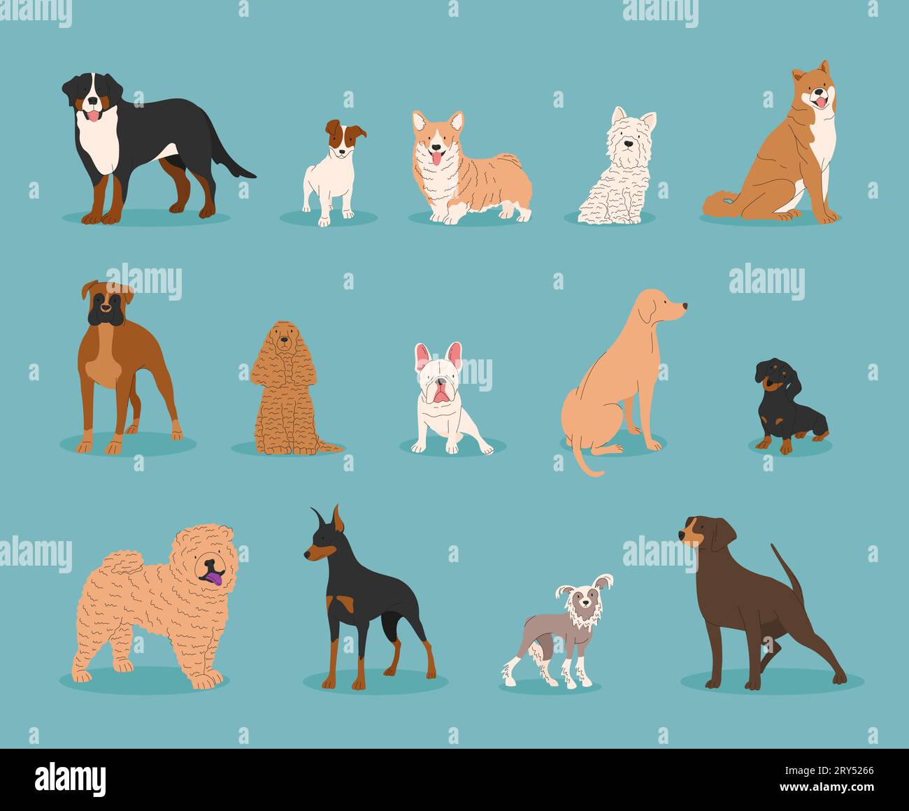 Ritiro cani. Illustrazione vettoriale di divertenti cartoni animati cani di diverse razze in stile piatto alla moda. Bulldog francese, Rottweiler, Dachshund, Doberman, Lab Illustrazione Vettoriale