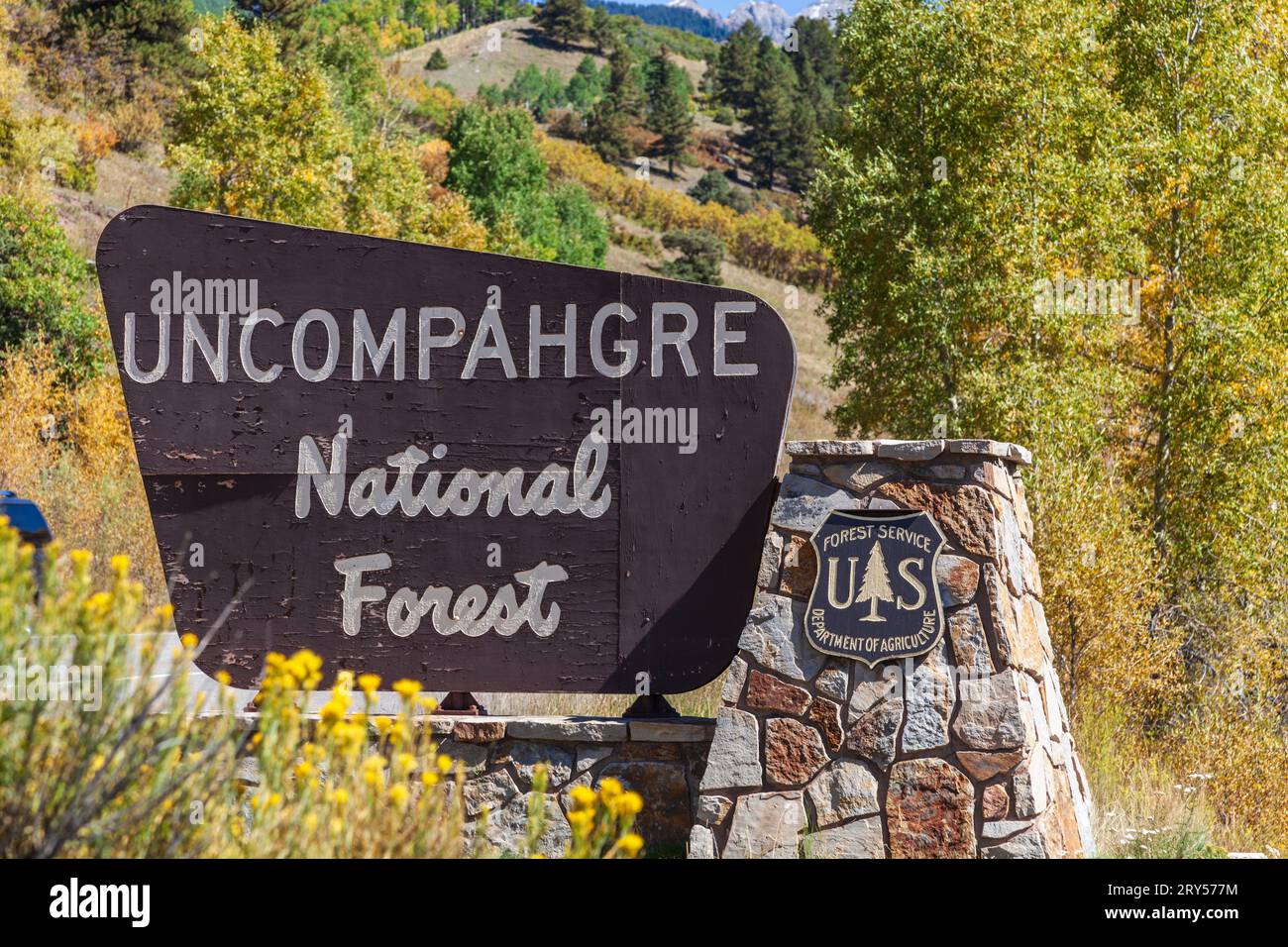 Colore autunnale lungo la San Juan Skyway Scenic Byway in Colorado. La San Juan Skyway è un anello incredibilmente bello delle autostrade statali del Colorado. Foto Stock