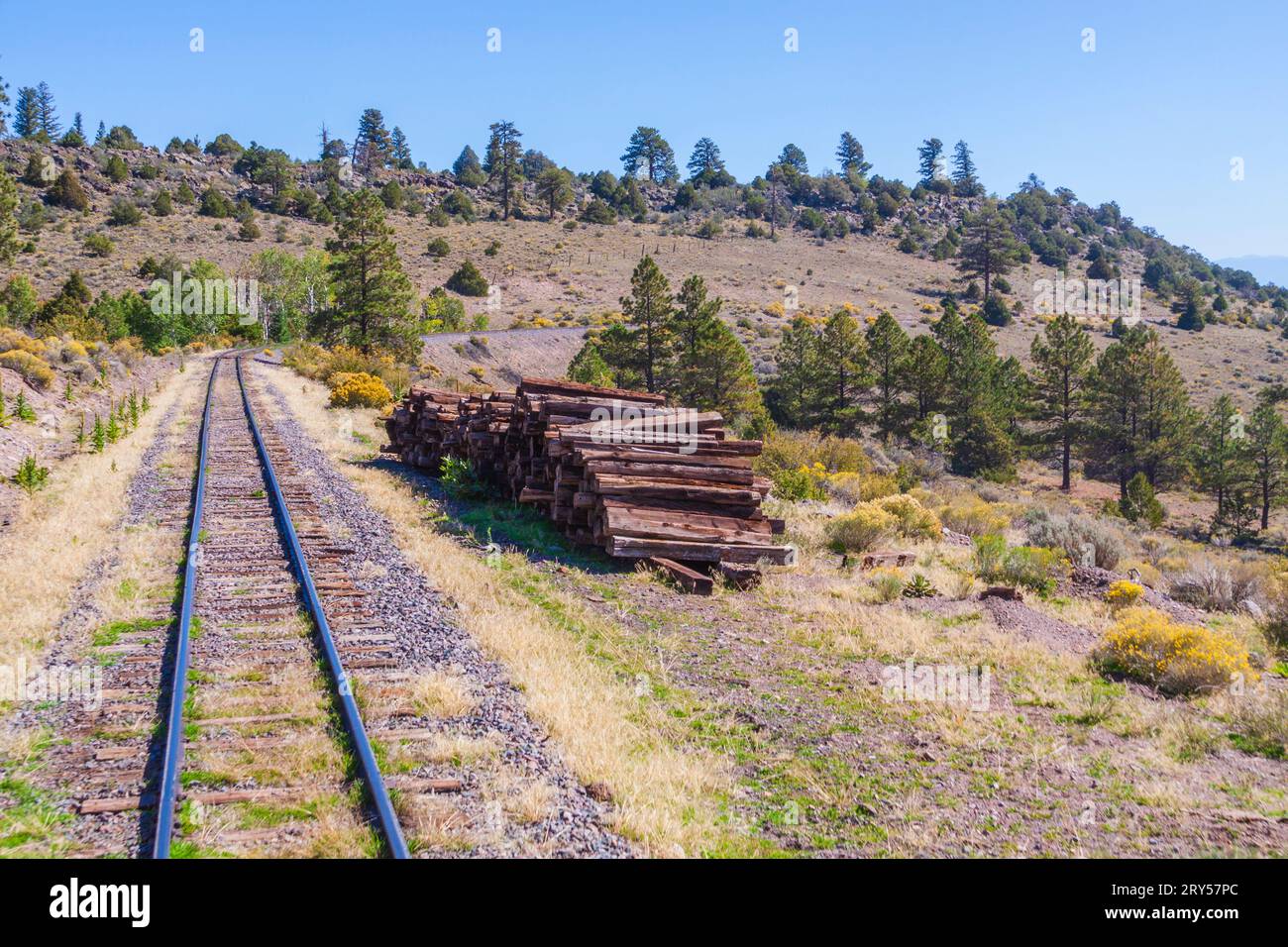 I binari ferroviari della Cumbres and Toltec Narrow Gauge Railroad tra Antonito, Colorado, e Chama, New Mexico. Foto Stock