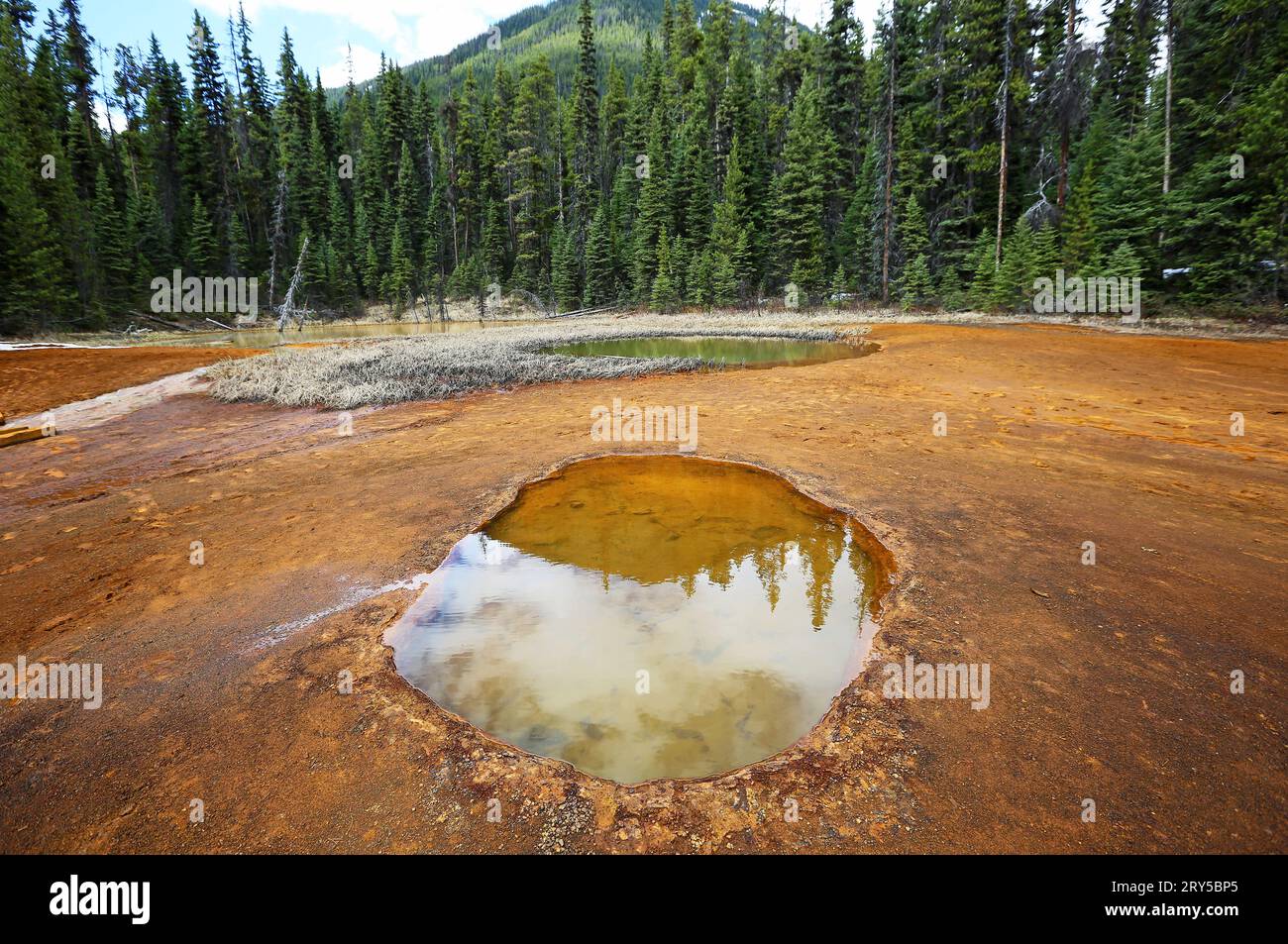 Pentole di verniciatura - Canada Foto Stock