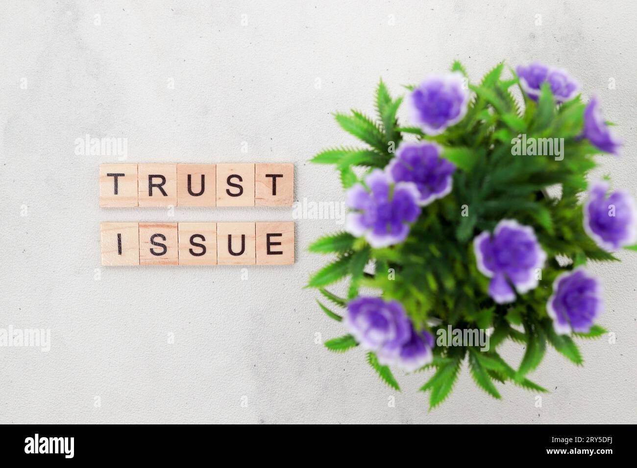 Vista dall'alto della parola Trust Issue su blocco di lettere cubo in legno su sfondo bianco. Concetto aziendale Foto Stock