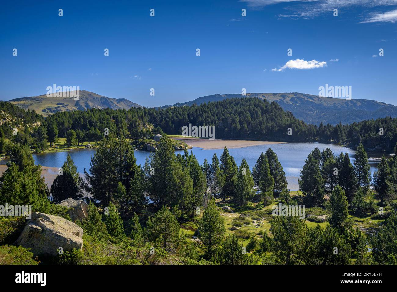 Laghi di Carlit in una mattina d'estate (Pirenei Orientali, Occitania, Francia, Pirenei) ESP: Lagos del Carlit en una mañana de verano (Occitanie, Francia) Foto Stock