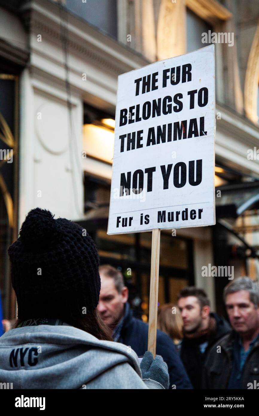 Protesta anti-pelliccia per i diritti degli animali fuori Harvey Nichols Londra 30 novembre 2013 - la pelliccia appartiene all'animale che lei firma Foto Stock