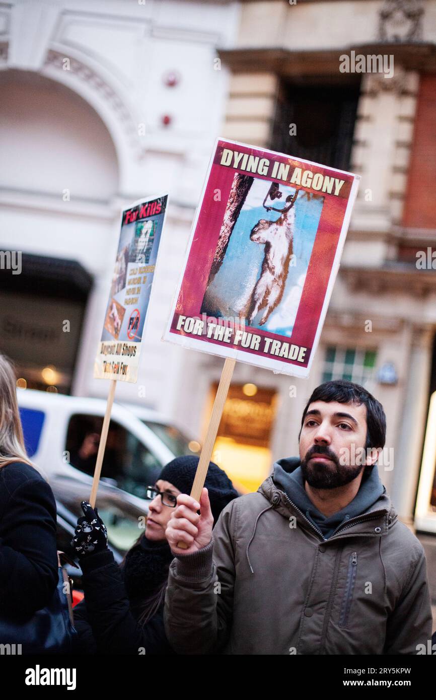 Protesta anti-pelliccia per i diritti degli animali fuori Harvey Nichols Londra 30 novembre 2013 - giovane uomo che tiene il cartello di protesta Foto Stock