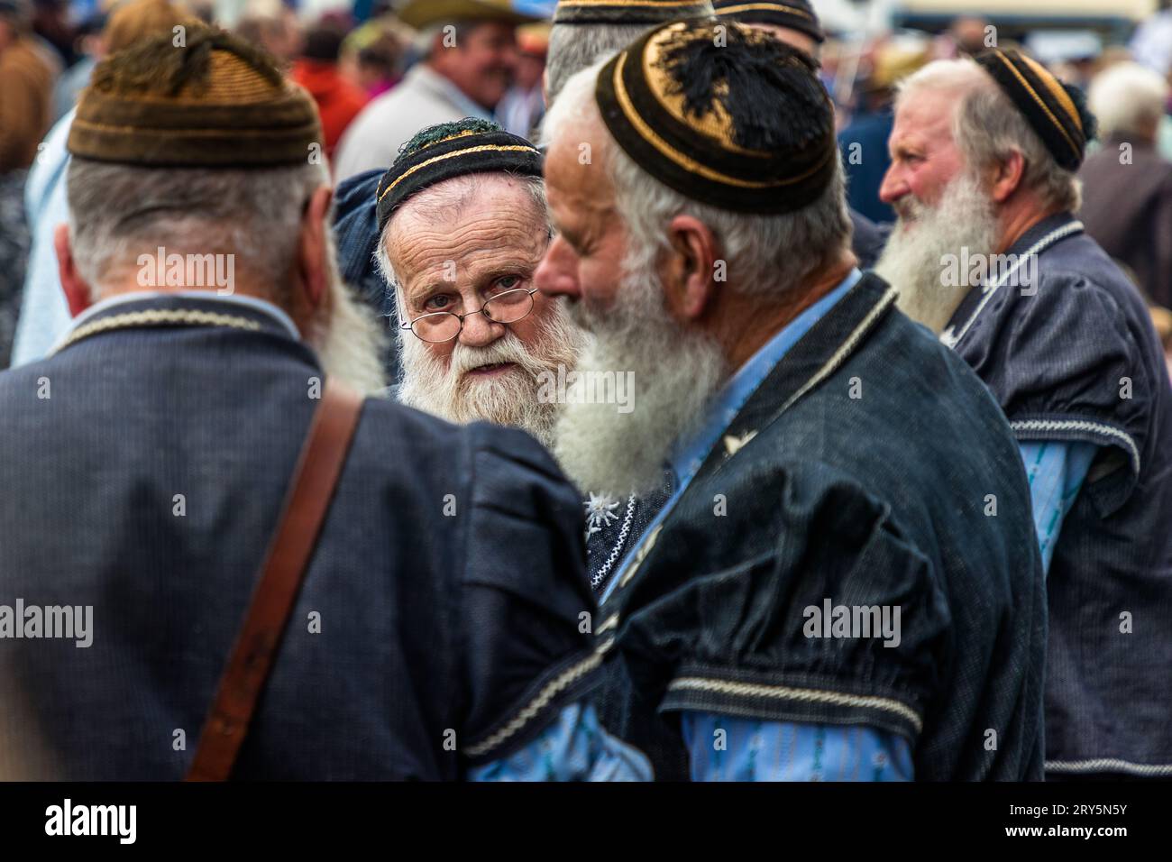 Il bestiame cerimoniale autunnale viene trasportato dai pascoli di montagna nella valle di Plaffeien, in Svizzera. Processione alpina a Oberschrot. Ogni anno, in autunno, il bestiame viene scacciato dall'estate sull'alpe per tornare al villaggio in una processione. Foto Stock