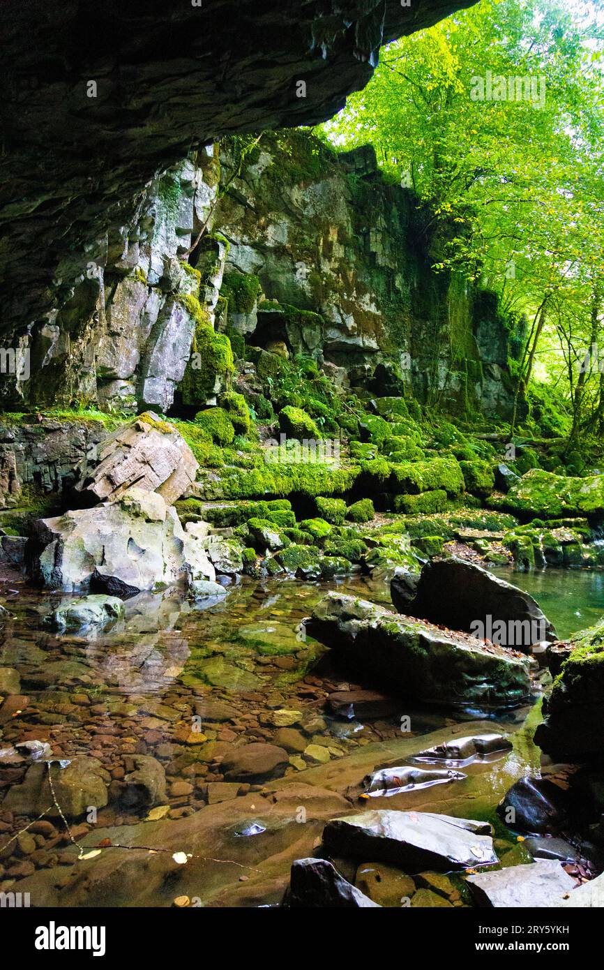 Porth Yr Ogof Cave on the Mellte River, Brecon Beacons National Park, Galles, Regno Unito Foto Stock