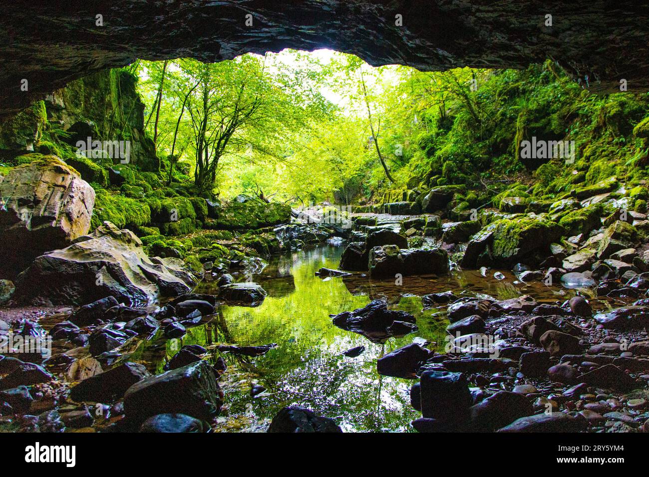 Porth Yr Ogof Cave on the Mellte River, Brecon Beacons National Park, Galles, Regno Unito Foto Stock