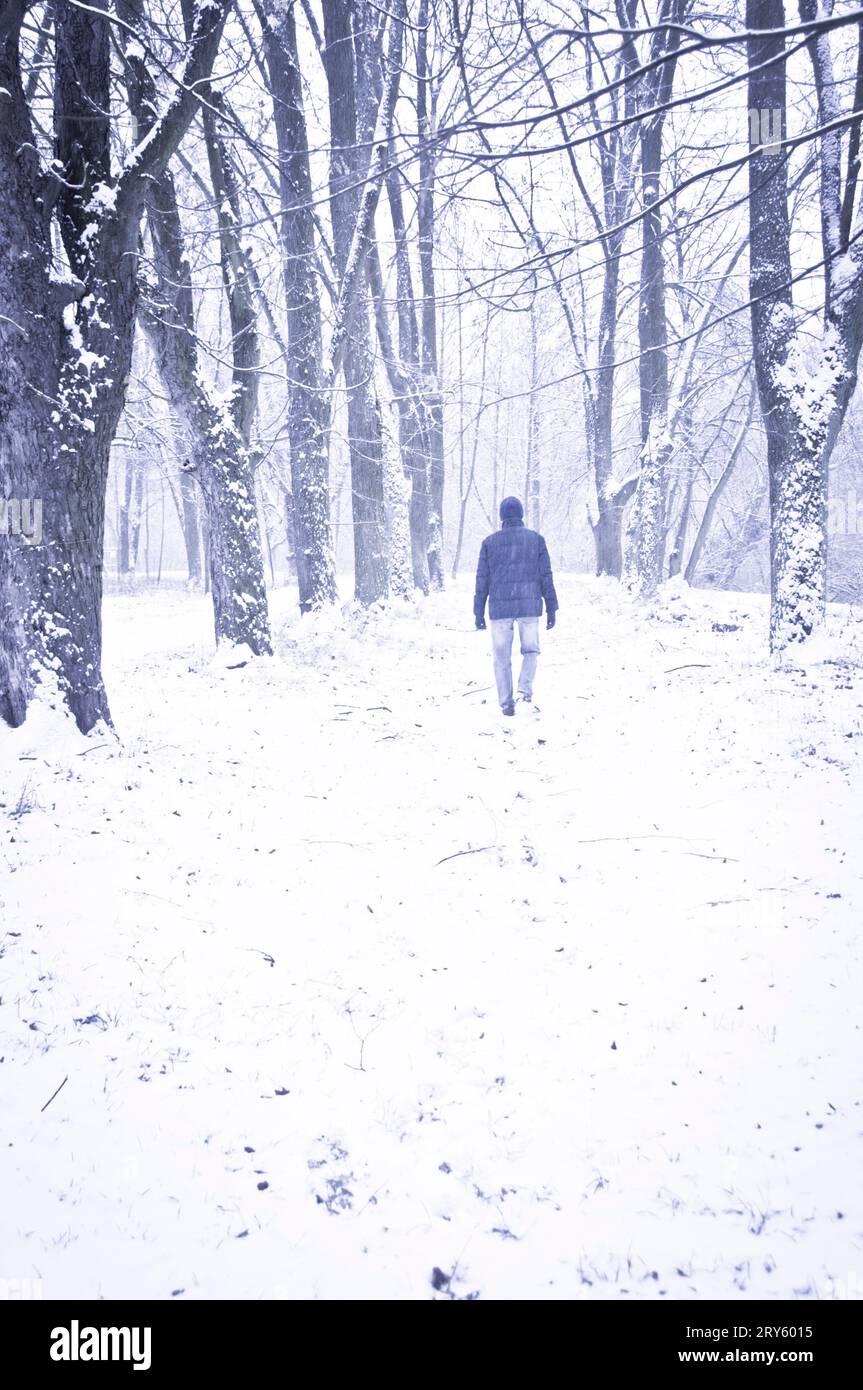 uomo che va via sotto la neve in una foresta Foto Stock