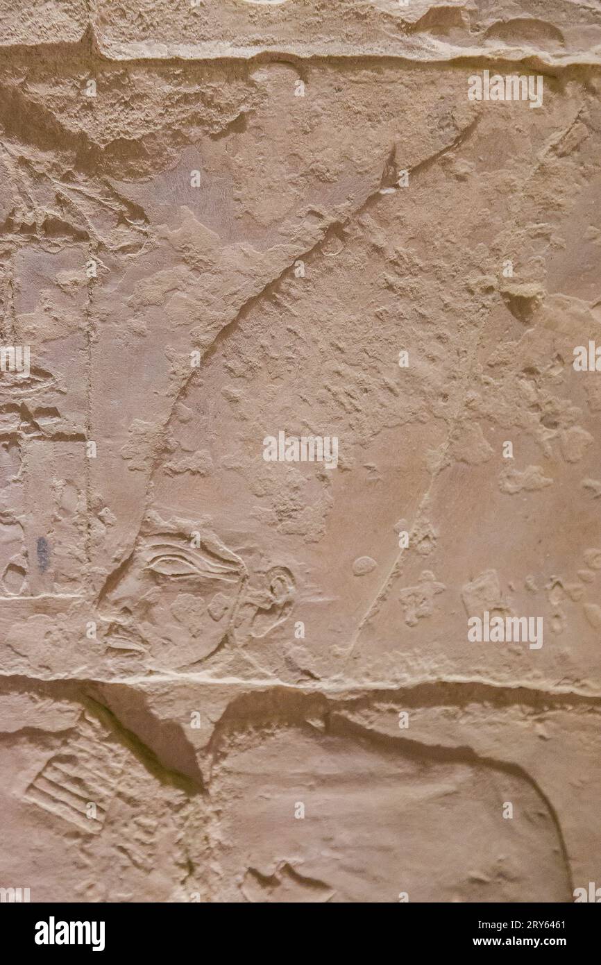 Egitto, Saqqara, piramide di Djoser, Tomba del Nord, un dettaglio della cerimonia del giubileo del re Djoser ("festa del SED"), in bassorilievo. Foto Stock