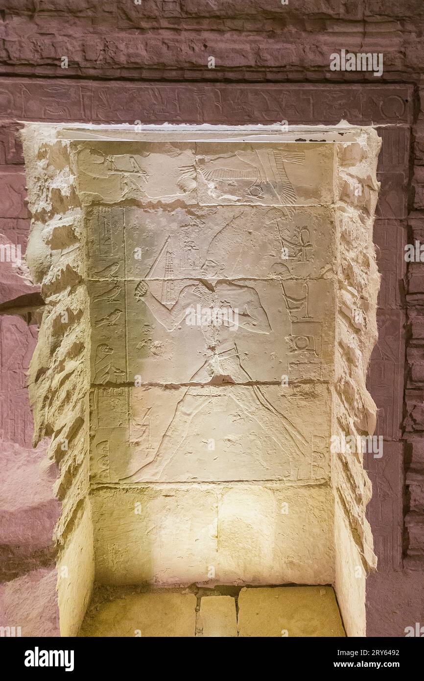 Egitto, Saqqara, piramide di Djoser, Tomba del Nord, rappresentazioni della cerimonia del giubileo del re Djoser ("festa del SED"), in bassorilievo. Foto Stock