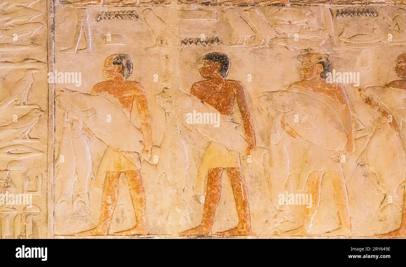 Egitto, Saqqara, tomba di Mehu, che porta e mostra i pesci più grandi a Mehu. Foto Stock