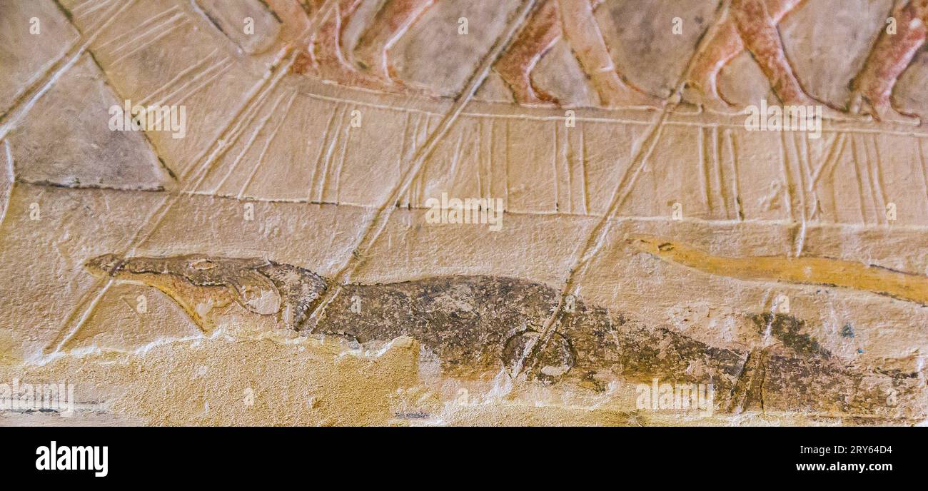 Egitto, Saqqara, tomba di Mehu, coccodrillo sotto un barbecue. Foto Stock