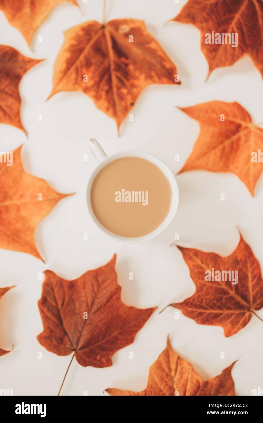 Vista dall'alto di una tazza di caffè circondata da foglie d'acero colorate dell'autunno Foto Stock