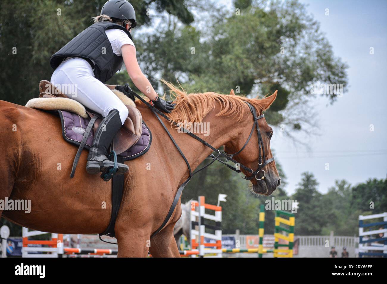 Durante l'estate all'aperto, potrai fare un giro in saltatore a cavallo. Foto Stock