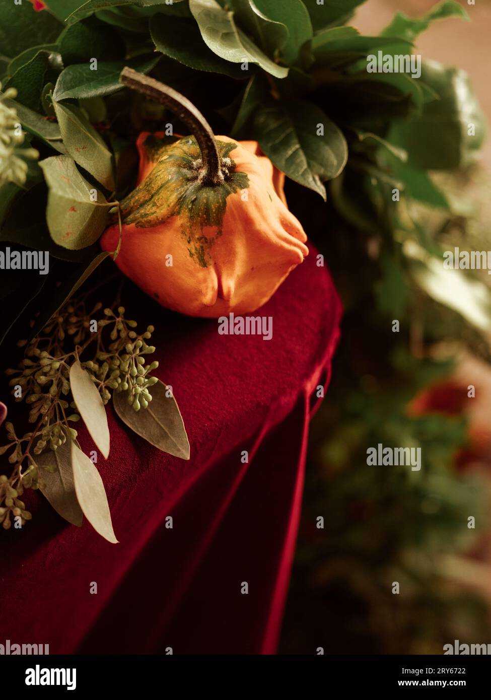 Primo piano di piccole zucche e vegetazione su un tavolino di velluto rosso intenso Foto Stock