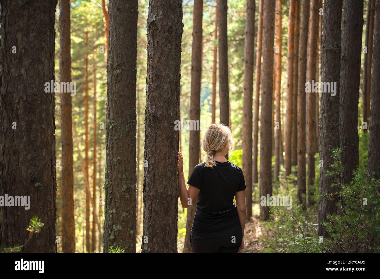 Bella donna adulta nella pineta soleggiata, idea di restauro e relax della salute, bagni nella foresta Foto Stock