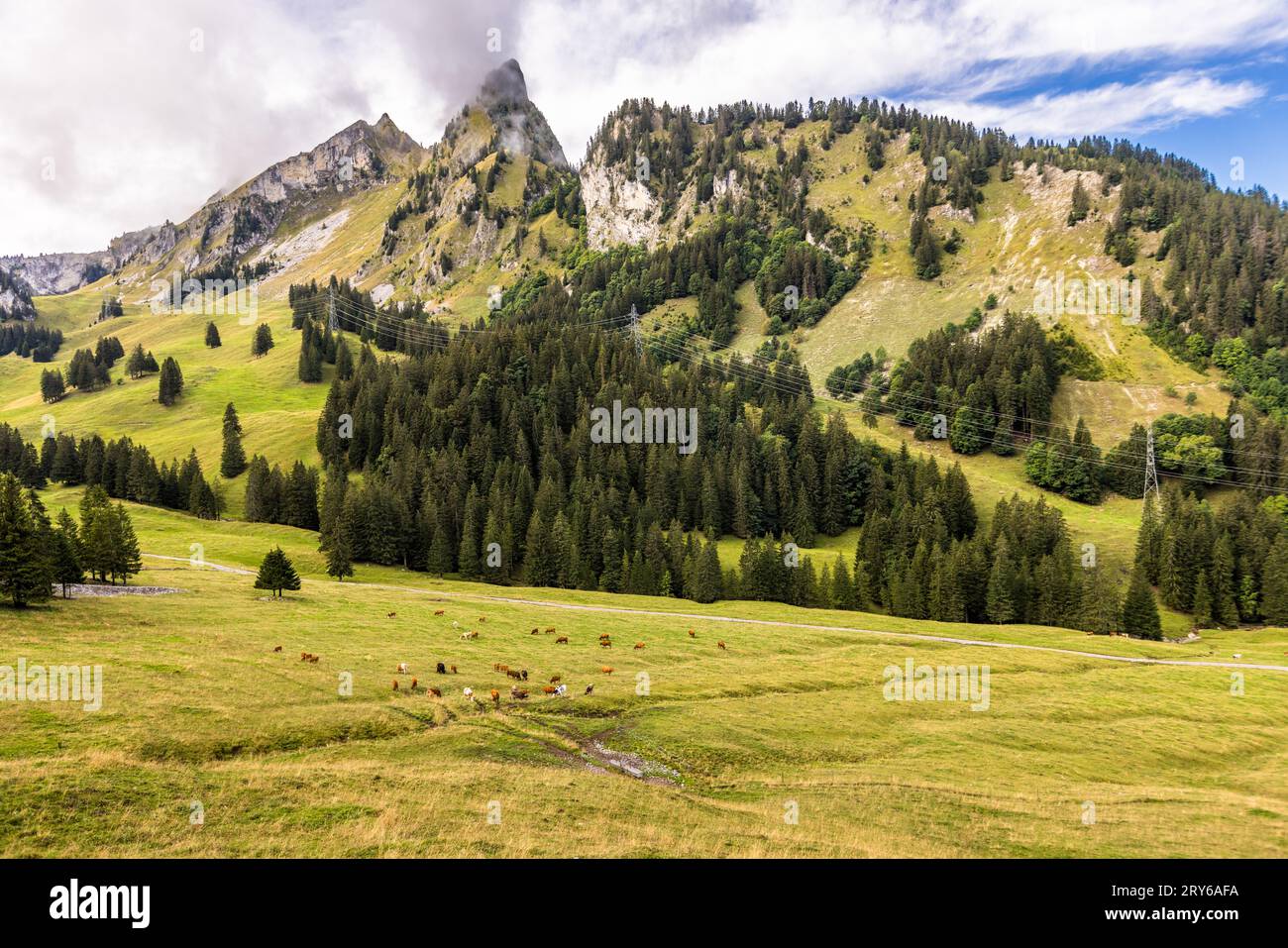 Il paesaggio primordiale di Brecca è un'area escursionistica variegata. Jaun, Svizzera Foto Stock
