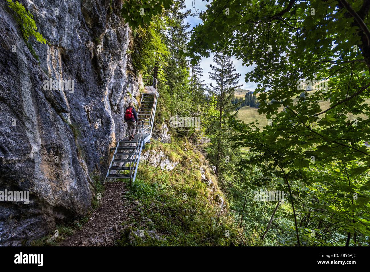 Il paesaggio primordiale di Brecca è un'area escursionistica variegata. Jaun, Svizzera Foto Stock