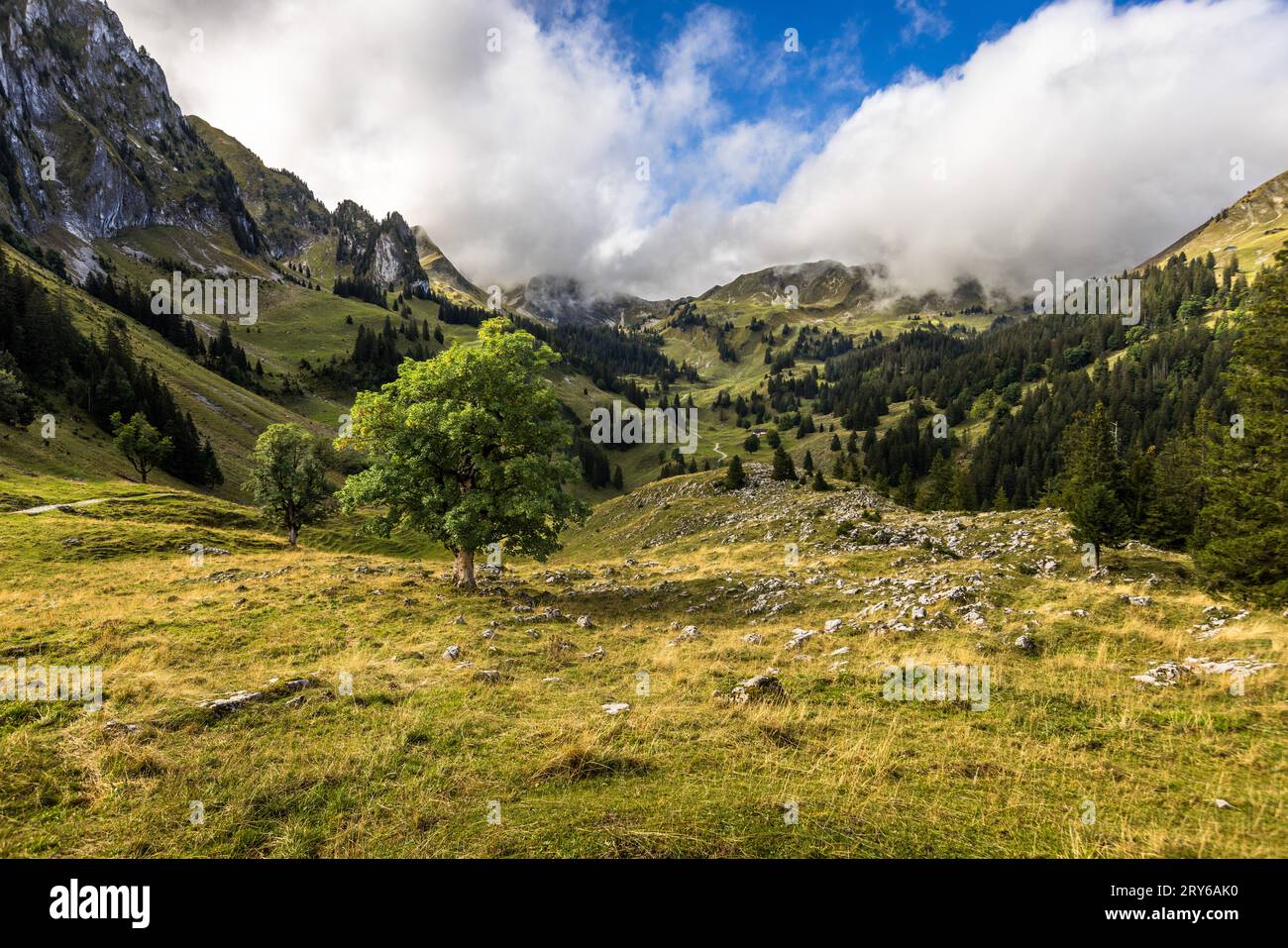 Il paesaggio primordiale di Brecca è un'area escursionistica variegata. Jaun, Svizzera Foto Stock